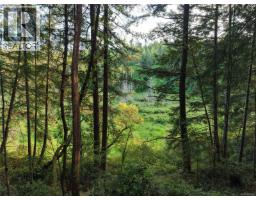 Lt 1 Ingram Rd, Nanaimo, BC V9X1W8 Photo 30