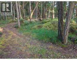 Lt 1 Ingram Rd, Nanaimo, BC V9X1W8 Photo 10