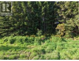Lt 1 Ingram Rd, Nanaimo, BC V9X1W8 Photo 27