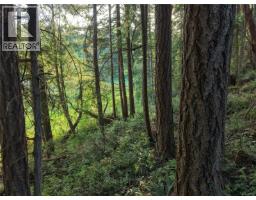 Lt 1 Ingram Rd, Nanaimo, BC V9X1W8 Photo 28