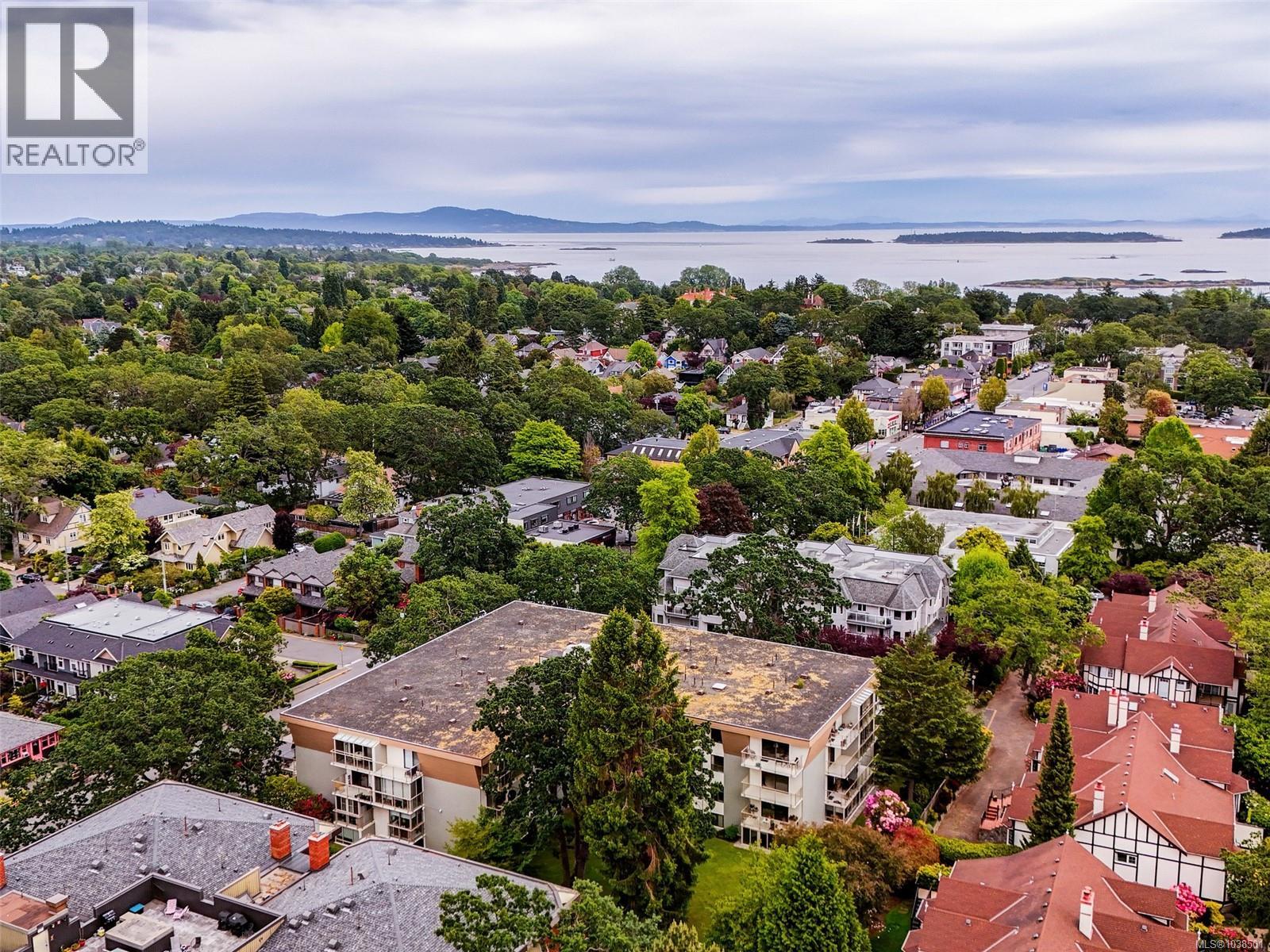 #303 2125 Oak Bay Ave - 29
