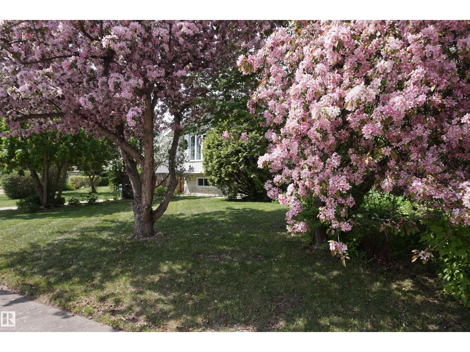 106 GREENGROVE AV - 36