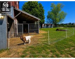 6703 Pine Plains Road E, Adjala Tosorontio, ON L0M1J0 Photo 6