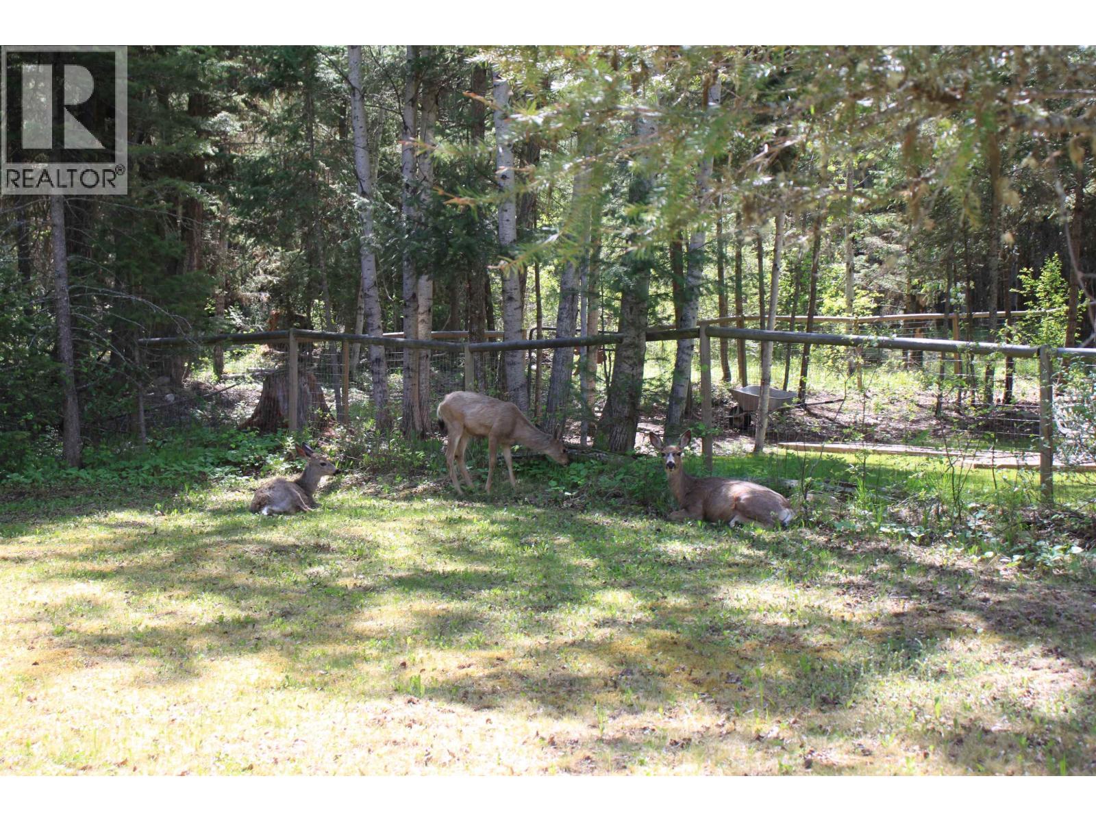 4775 MONEEYAW ROAD - 32