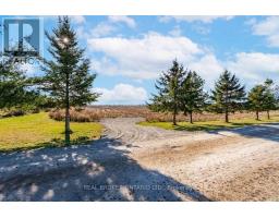 6449 12 13 Side Road, Clearview, ON L0M1N0 Photo 18