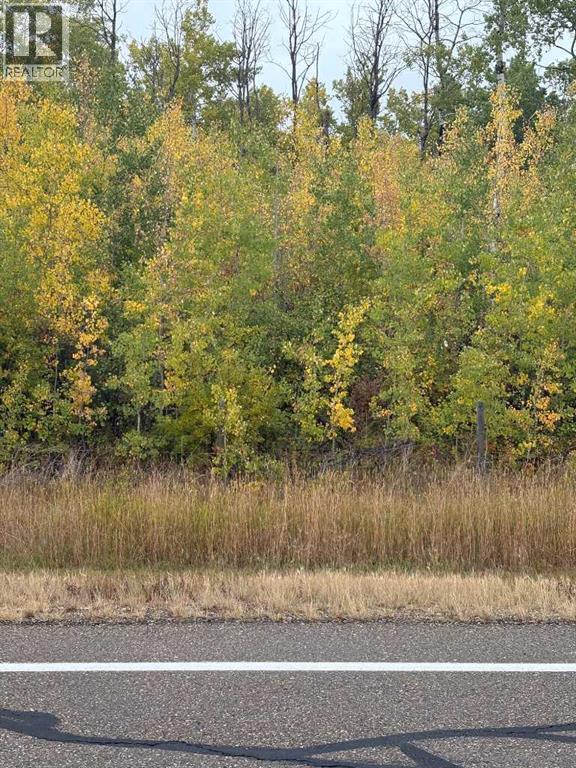 12 Foot Davis Road — photo 16