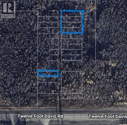 12 Foot Davis Road — photo 6