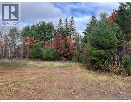 1 Hall Road, Mohannes, NB E3L5V8 Photo 10