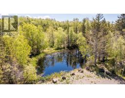 64 Russia Road, Harbourville, NS B0P1E0 Photo 19