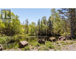64 Russia Road, Harbourville, NS B0P1E0 Photo 24