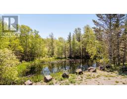 64 Russia Road, Harbourville, NS B0P1E0 Photo 15