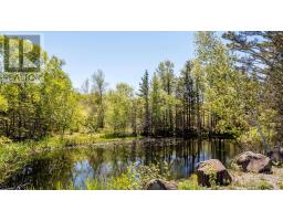 64 Russia Road, Harbourville, NS B0P1E0 Photo 18
