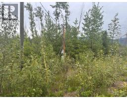 2839 Garland Road, Celista, BC V0E1M6 Photo 8