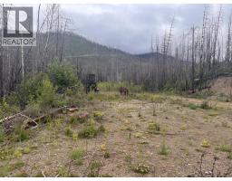 2839 Garland Road, Celista, BC V0E1M6 Photo 9