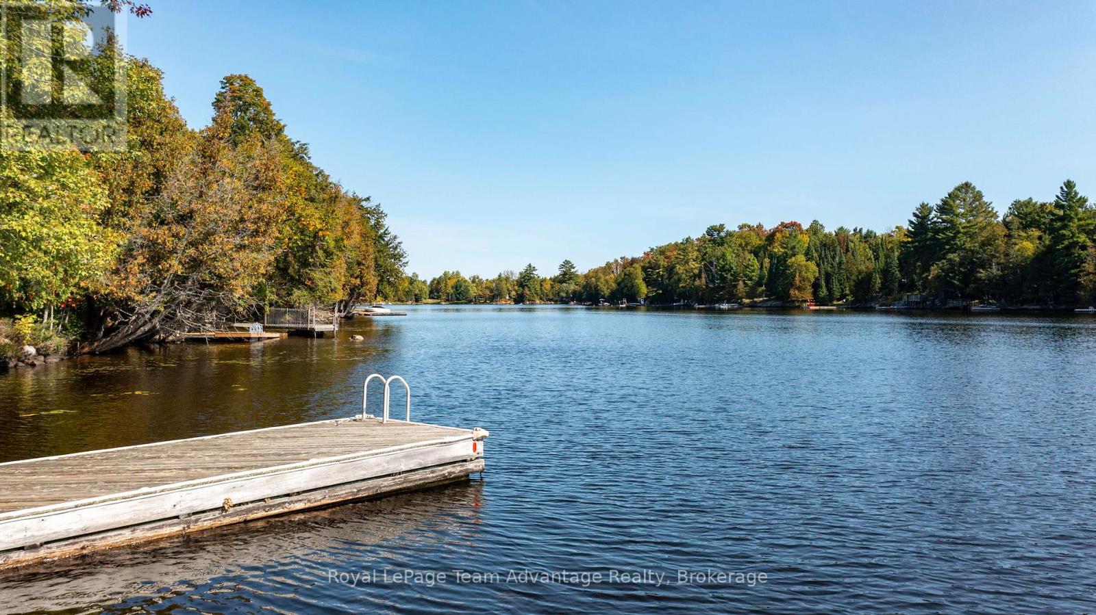 22 SILVER BIRCH CIRCLE - 5