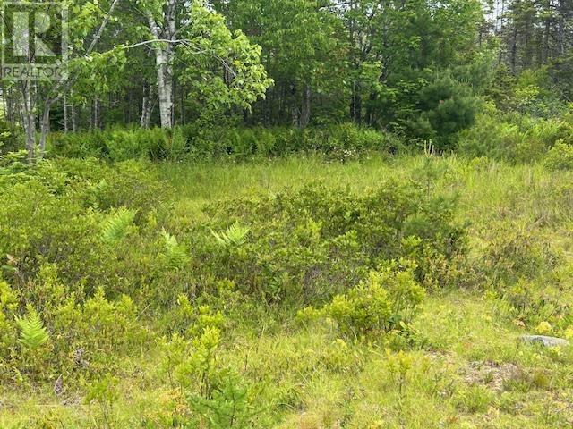 Property 13 of 14 of Lot 7 Bay Street