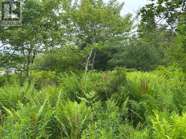 Property 3 of 14 of Lot 7 Bay Street
