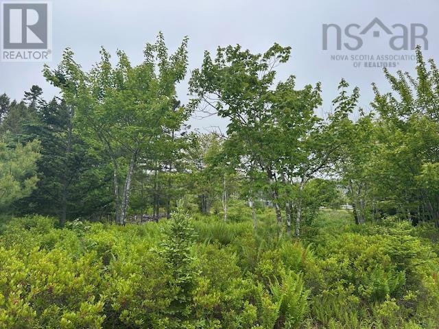 Property 14 of 14 of Lot 7 Bay Street