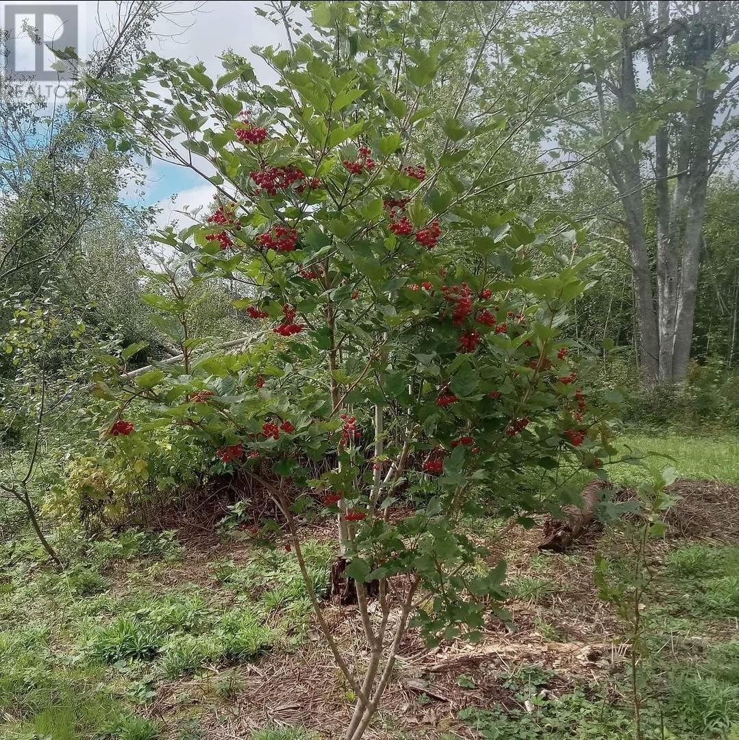 Property 21 of 21 of 5734 Pictou Landing Road