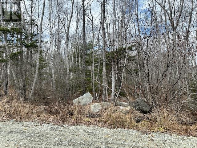 Property 2 of 3 of Lot 16 Old Port Mouton Road