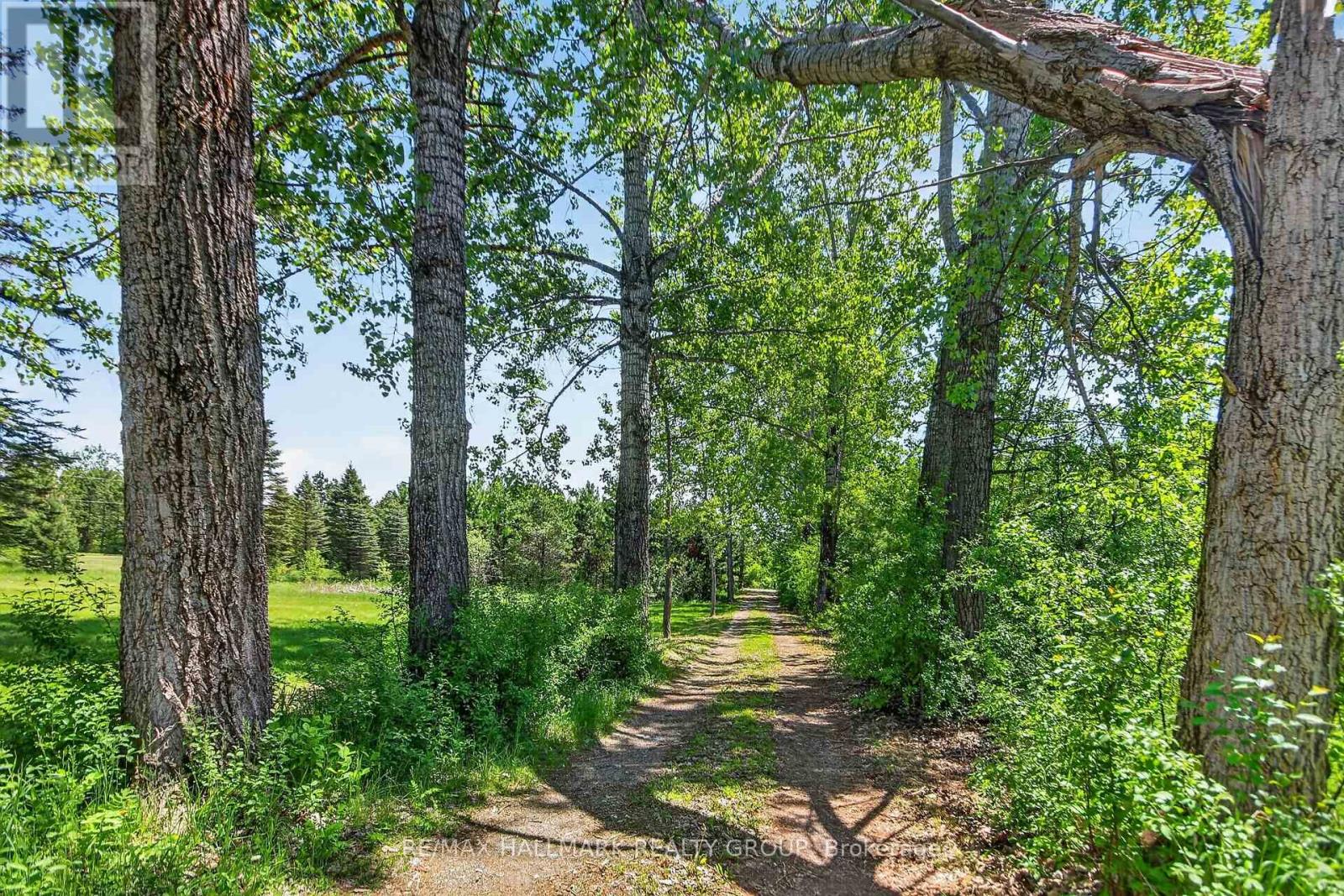 1054 MCCREA ROAD - 35