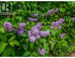 4807 Clarke Avenue, Lac La Hache, BC V0K1T0 Photo 18