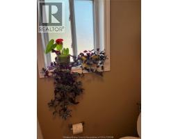 2290 Daytona Avenue, Windsor, ON N9B3Y2 Photo 12