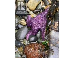 7210 Sea Cliff Rd, Sooke, BC V9Z1A8 Photo 66