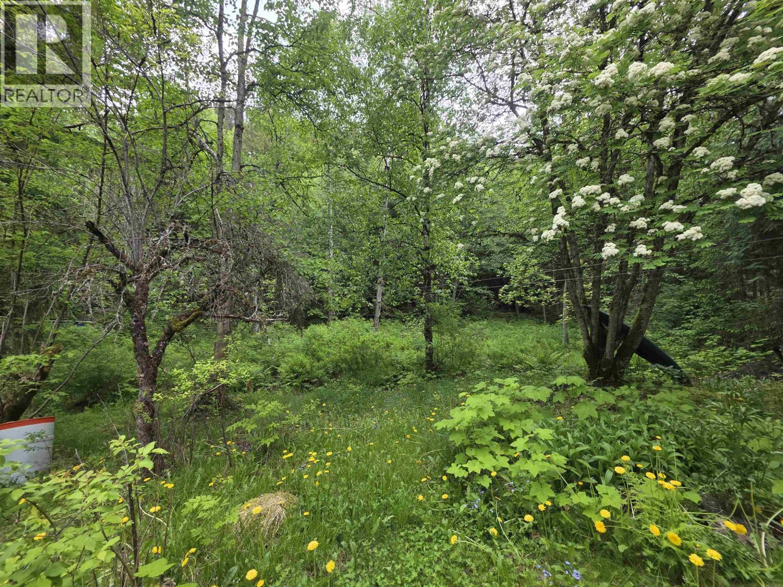 4556 JOHNS ROAD - 32