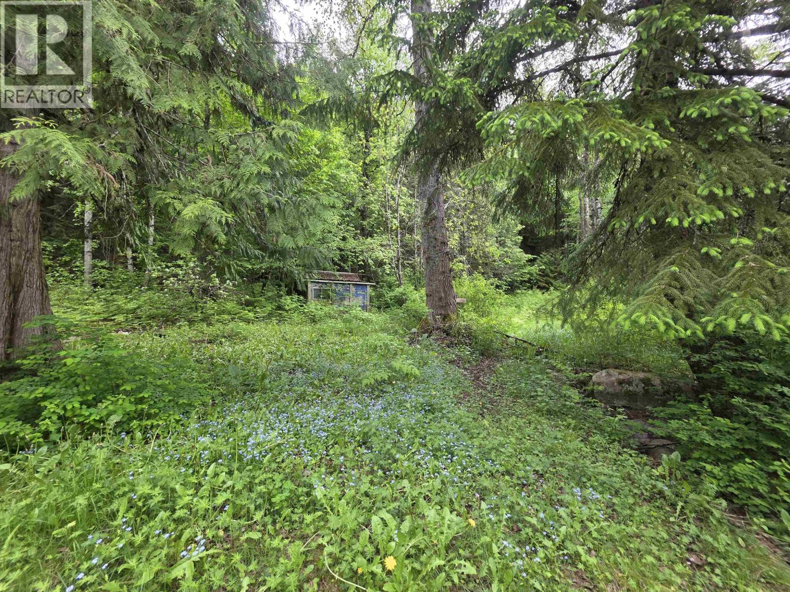 4556 JOHNS ROAD - 35