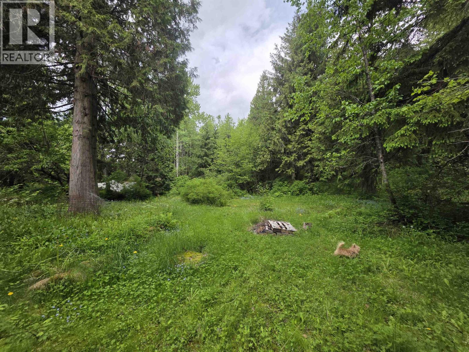 4556 JOHNS ROAD - 34