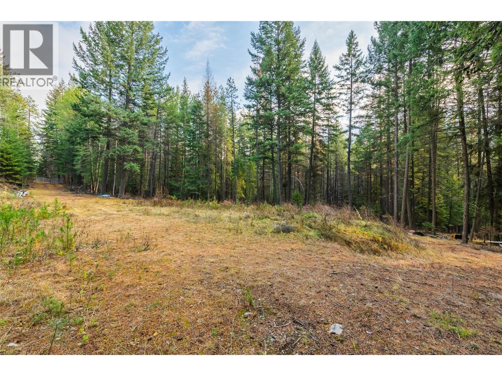 8667 Yahk Settlement Road - main photo