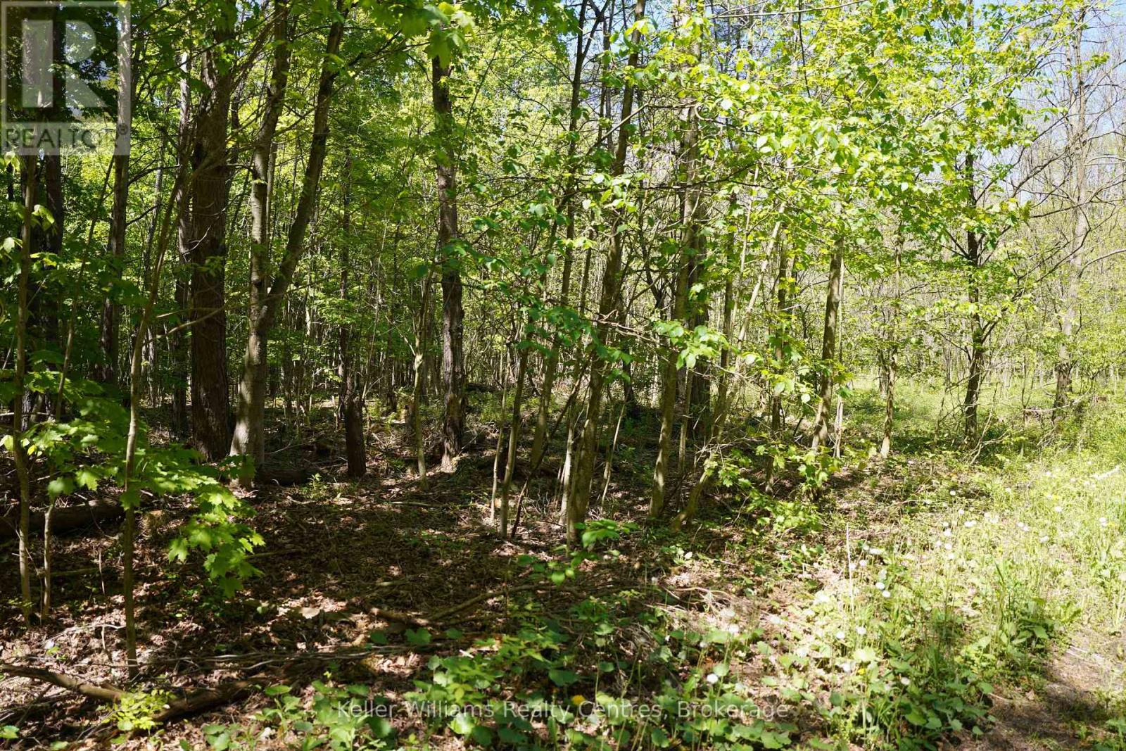 LOT 16 GREY ROAD 17