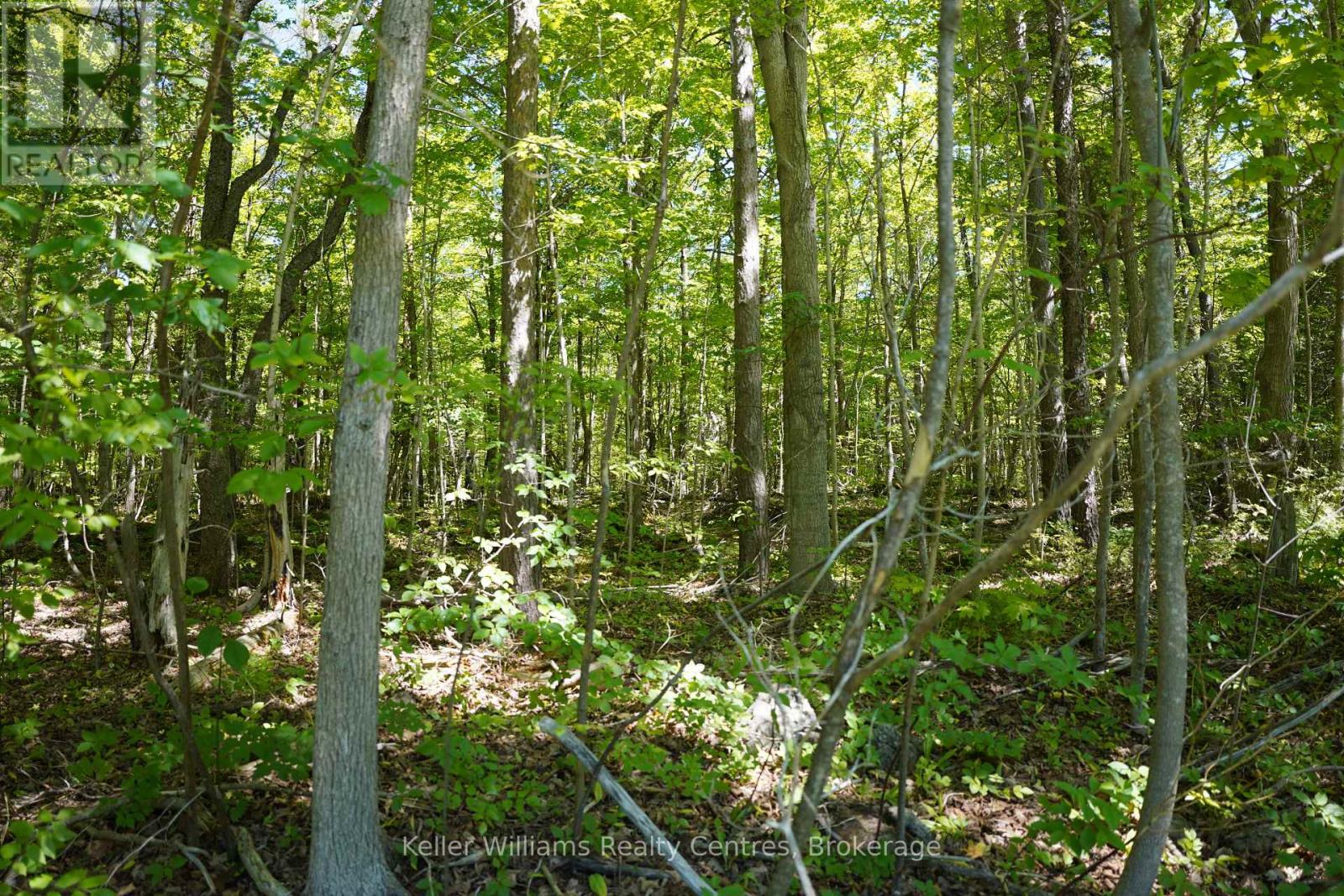 LOT 16 GREY ROAD 17