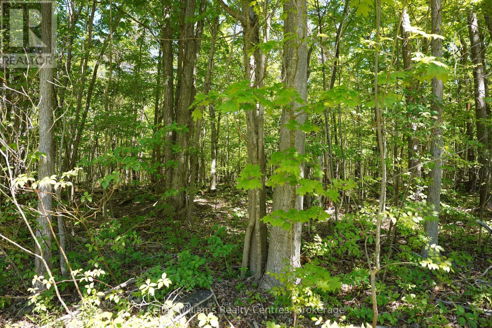LOT 16 GREY ROAD 17