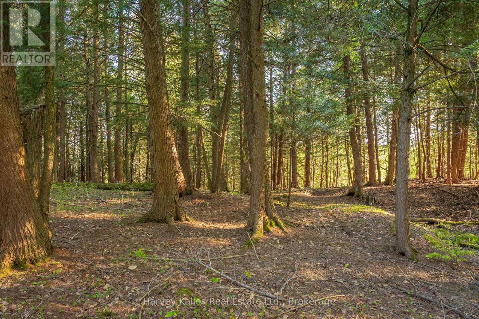 #Lot #8 38 Gryffin Bluffs Lane, Huntsville (Brunel), Ontario, P0B1M0, Huntsville (Brunel), Ontario — photo 4 of 5