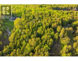 Lot #8 - 38 Gryffin Bluffs Lane, Huntsville, ON P0B1M0 Photo 15