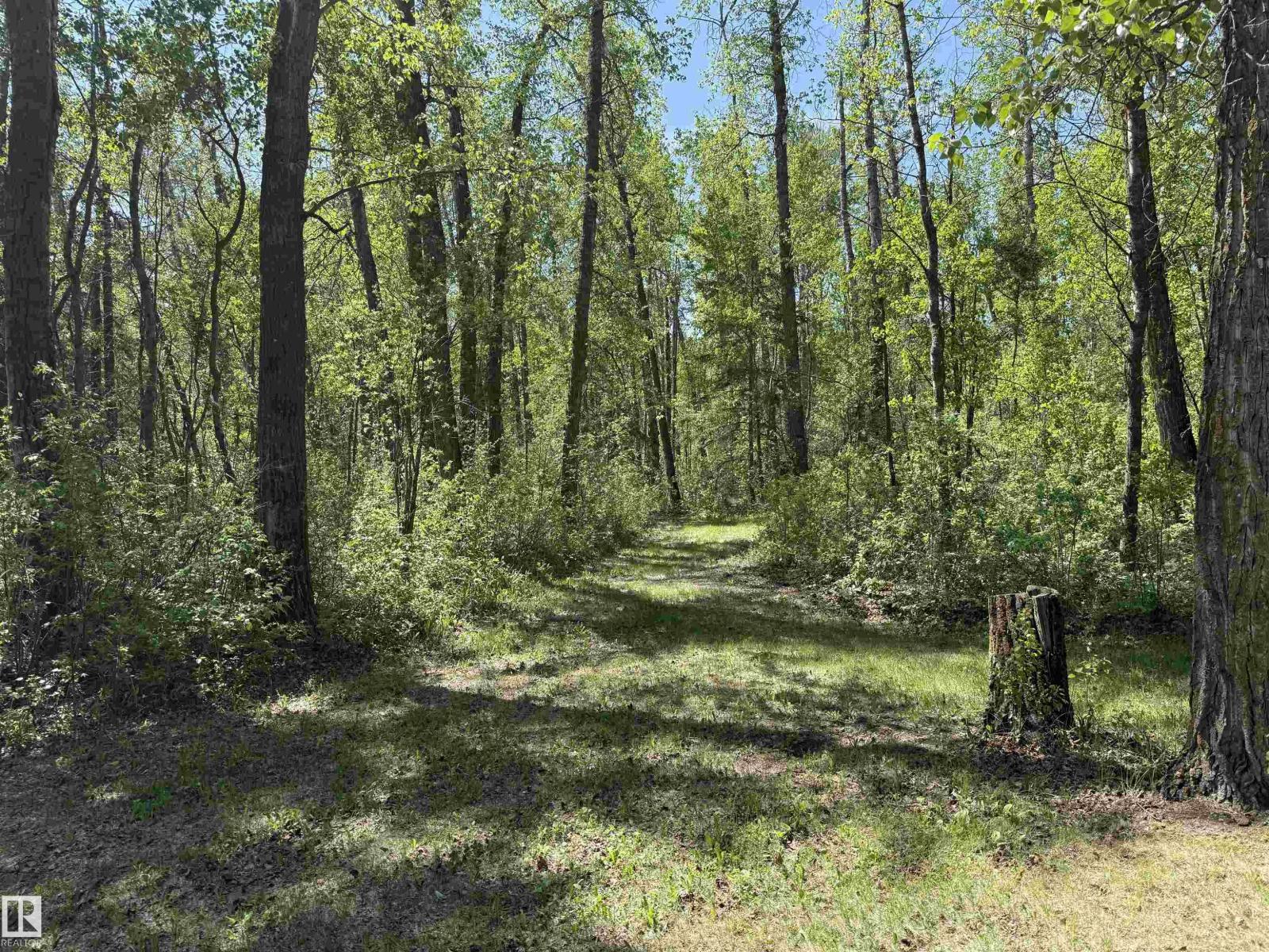 53268 RGE ROAD 211 — photo 57