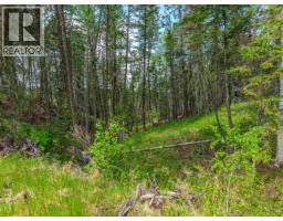 Lot 117 Block Drive, 108 Mile Ranch, BC V0K2Z0 Photo 15