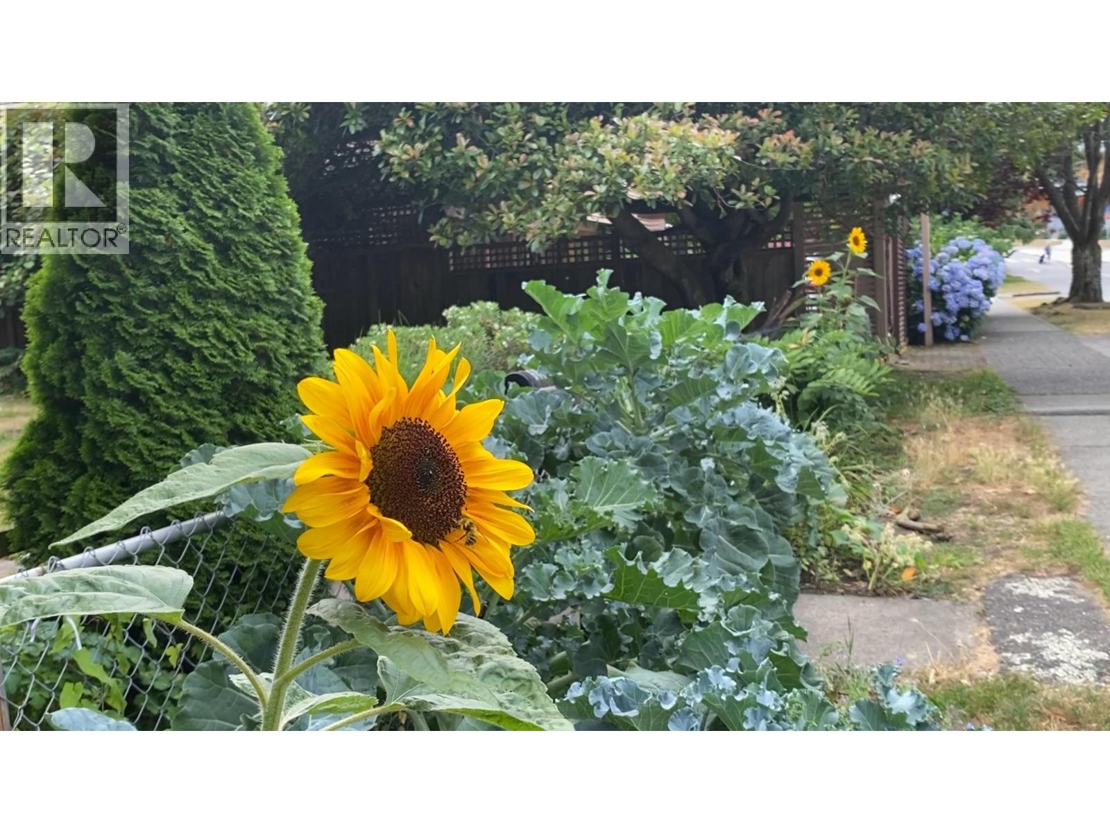 6338 DOUGLAS STREET, West Vancouver