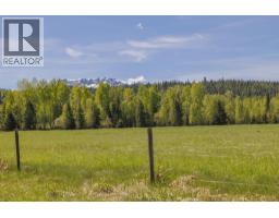 8985 Crescent Spur Road, Mcbride, BC V0J2E0 Photo 30