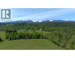 8985 Crescent Spur Road, Mcbride, BC V0J2E0 Photo 33