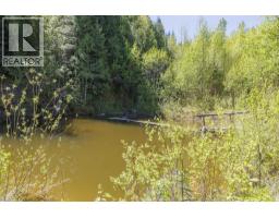 8985 Crescent Spur Road, Mcbride, BC V0J2E0 Photo 28
