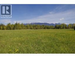 8985 Crescent Spur Road, Mcbride, BC V0J2E0 Photo 25