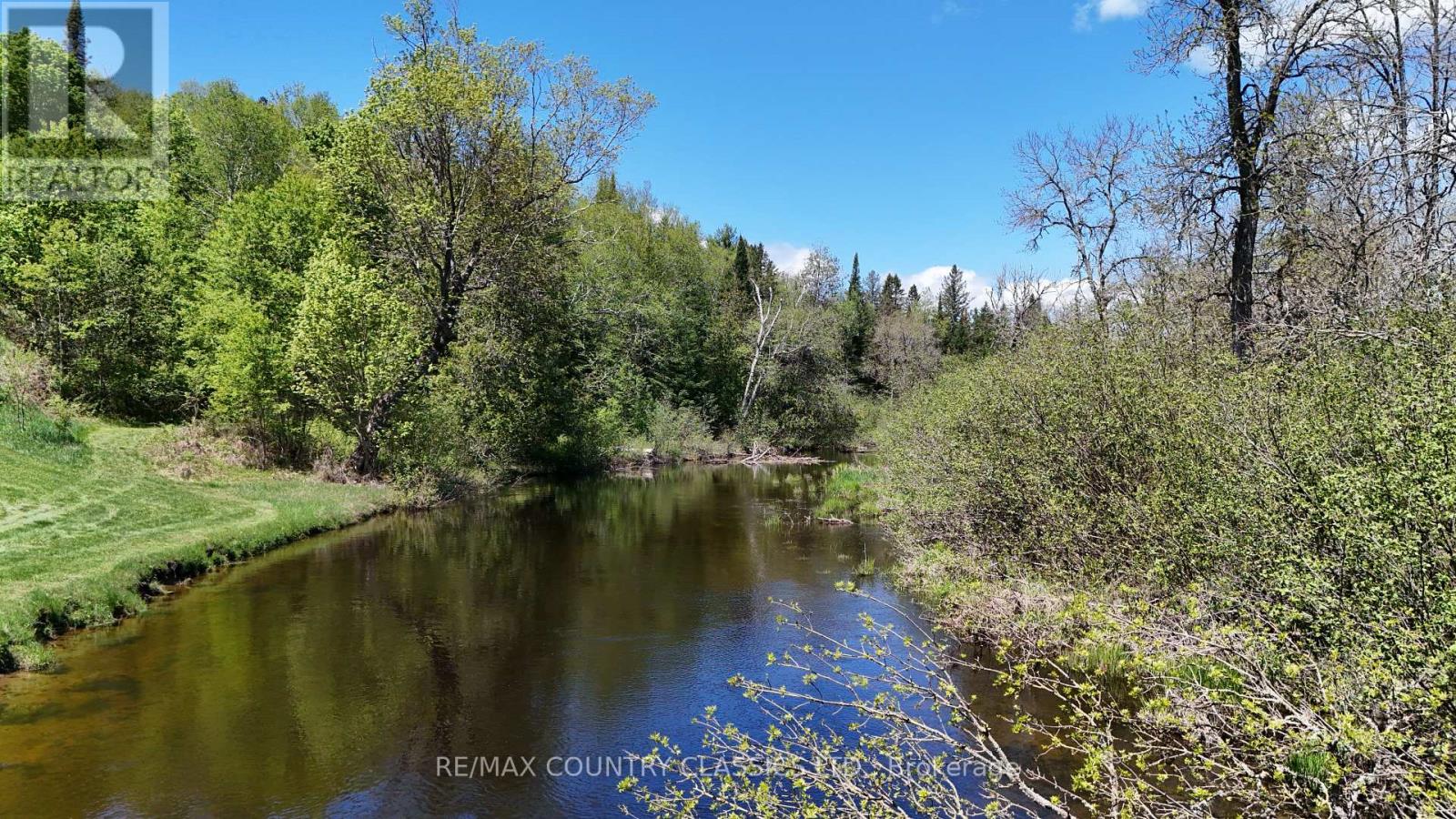 529 MAYO LAKE ROAD - 9