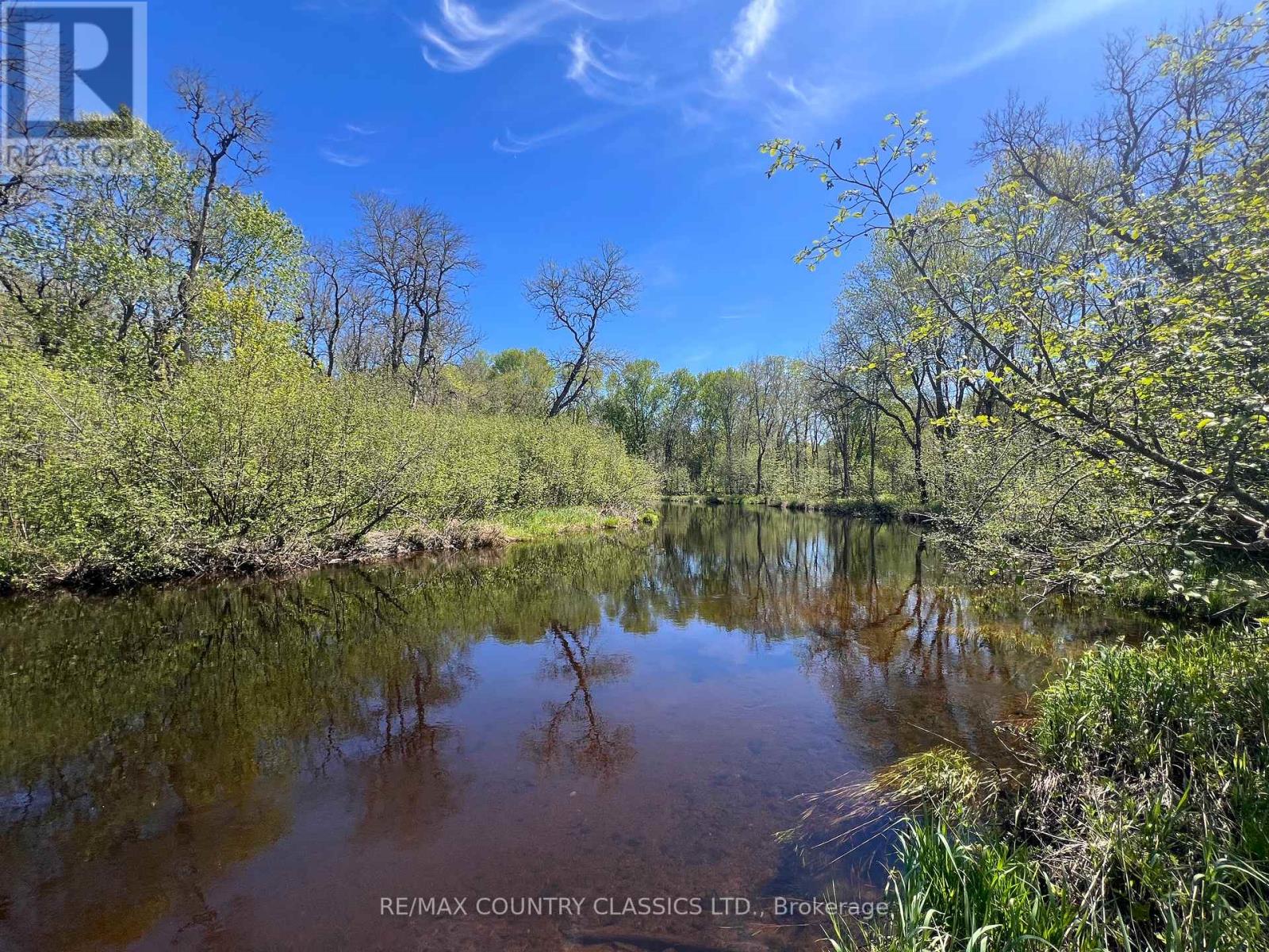 529 MAYO LAKE ROAD - 7