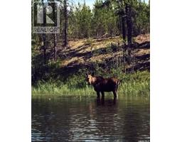 Wheeler River Lodge, Cut Knife, SK S0M0N0 Photo 11