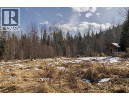 9509 Dunster-croydon Road, Dunster, BC V0J1J0 Photo 38