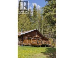 9509 Dunster-croydon Road, Dunster, BC V0J1J0 Photo 30