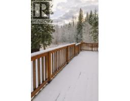 9509 Dunster-croydon Road, Dunster, BC V0J1J0 Photo 34